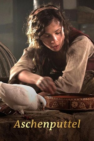Image Aschenputtel