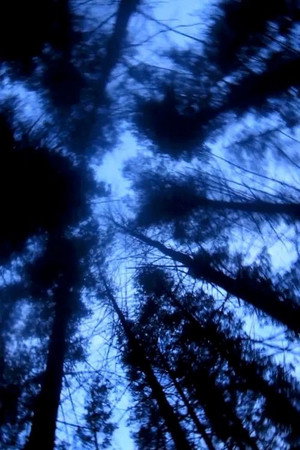 The Paranormal Experience That Inspired The Blair Witch Project