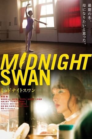Image Midnight Swan