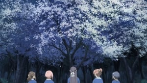 Sakura Quest The Kingdom of Cherry Blossoms