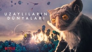 Images posters