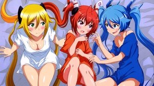 Gonna be the Twin-Tail!! ( 2014 )