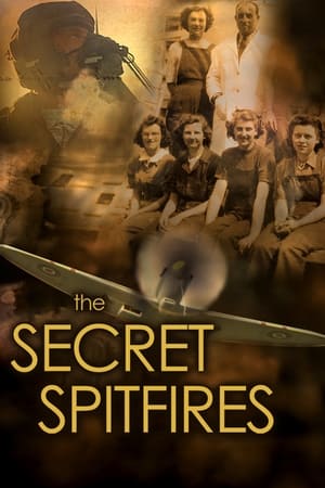 Poster The Secret Spitfires 2017