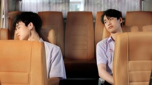 Love Sick ( 2024 )
