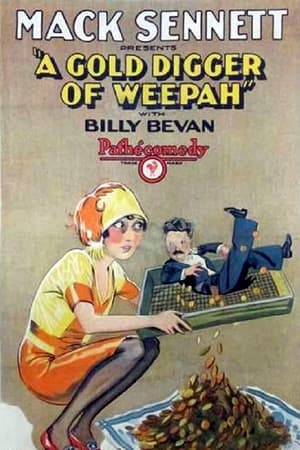 Poster Gold Digger of Weepah (1927)