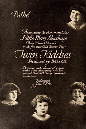 Poster Twin Kiddies 1916