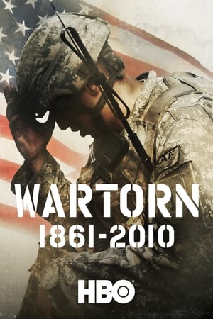 Poster Wartorn: 1861-2010 2010