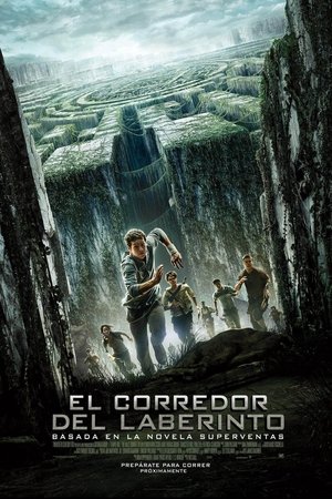 poster The Maze Runner