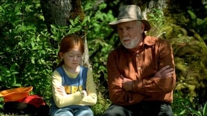 Der Schmetterling (2002)