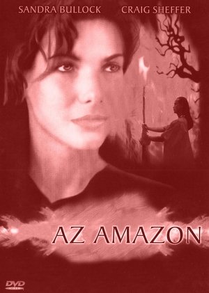 Az Amazon 1993