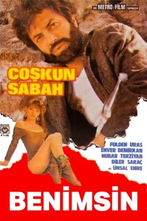 Poster Benimsin (1987)