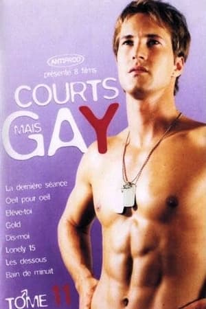 Poster Courts mais Gay : Tome 11 2006