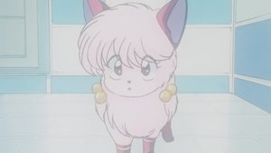 Ranma ½: 1×21