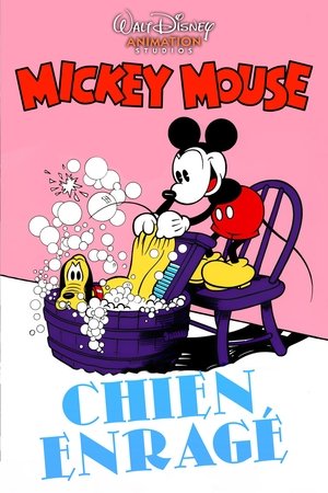 Affiche de Chien enragé