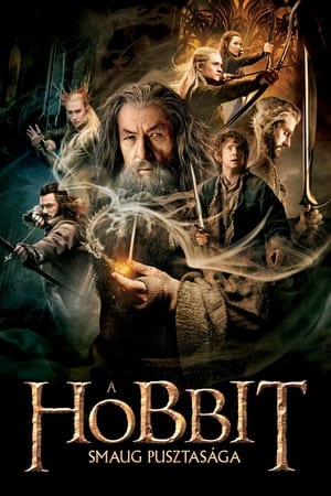 Poster A hobbit: Smaug pusztasága 2013