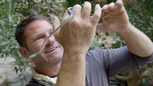 Expedition with Steve Backshall Mexico: Flooded Cave