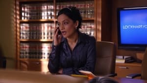 The Good Wife 2×6