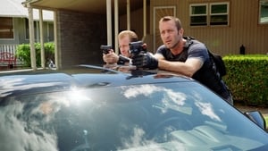 Hawaii Five-0 8 – Episodio 8