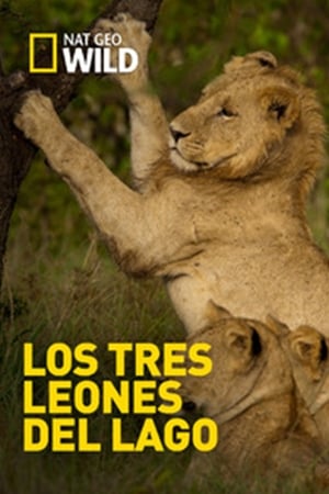 Los Tres Leones Del Lago