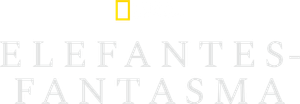 Los elefantes fantasma de Angola — Logos 2