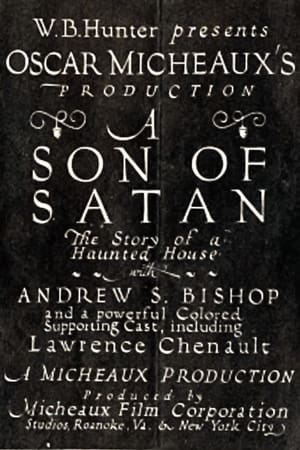 Poster A Son of Satan (1924)
