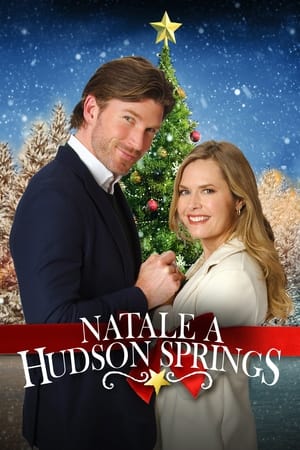 Image Natale a Hudson Springs