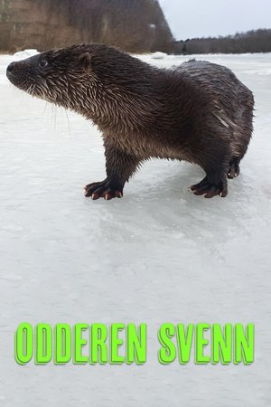 Oteren Svenn Oteren Svenn