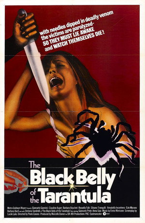 The Black Belly of the Tarantula