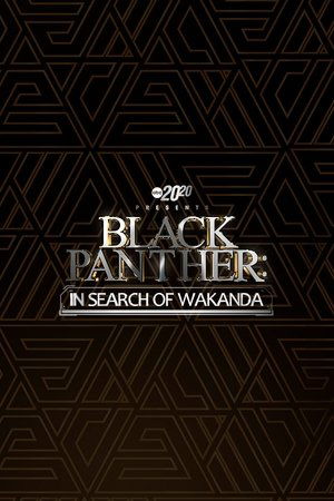 20/20 Presents Black Panther: In Search of Wakanda (2022) | Team Personality Map