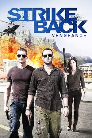 Strike Back: Kausi 3