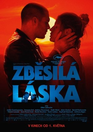 Image Zběsilá láska