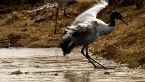 China Nature's Ancient Kingdom Central: A Balancing Act