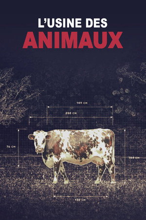Production Line Animals 12