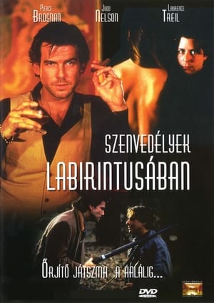 Poster A féltékenység hálójában (Szenvedélyek labirintusában) 1993