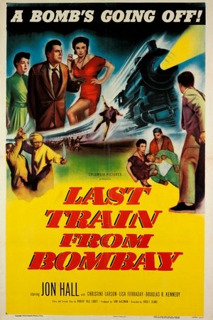 Last Train from Bombay