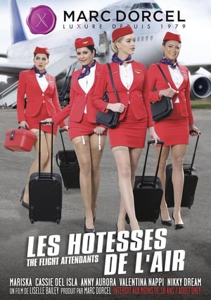 Poster Les hôtesses de l'air 2019