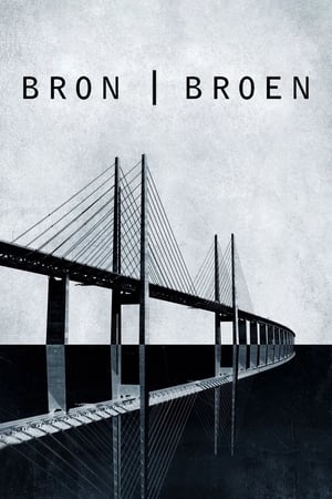 Image The Bridge - La serie originale