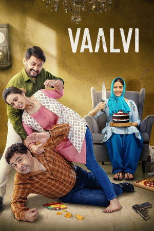Vaalvi 27