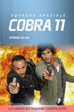 Squadra Speciale Cobra 11: Stagione 9