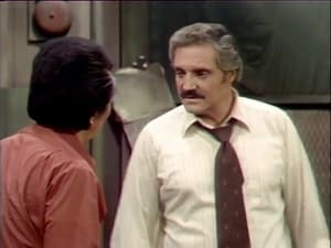 Barney Miller The Vandal