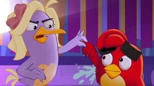 Angry Birds: Locuras de Verano Temporada 2 Capitulo 10