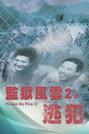 Poster Prison on Fire 2 1991
