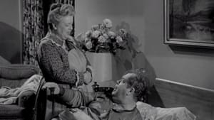 The Andy Griffith Show Aunt Bee the Warden