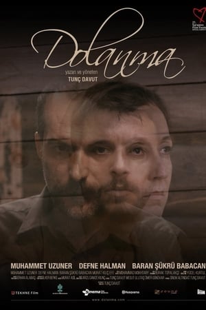 Poster Dolanma 2015