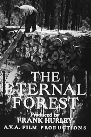 The Eternal Forest