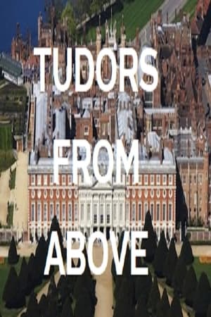 Poster Tudors From Above 2010