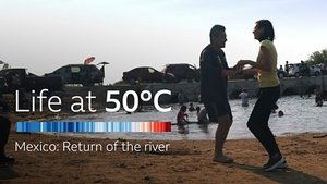 Shorts: Return of the River