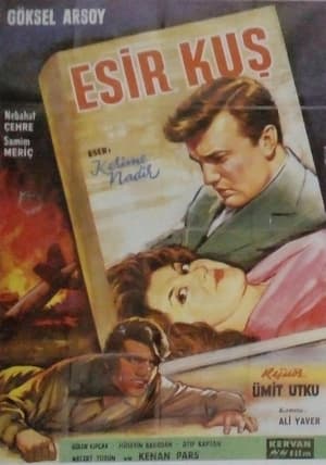 Poster Esir Kuş 1962