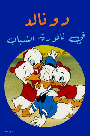 دونالد في نافورة الشباب