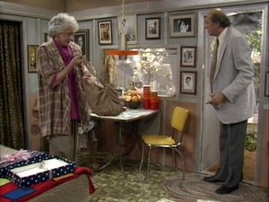 Golden Girls: 3×25